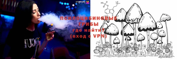 Альфа ПВП Верея