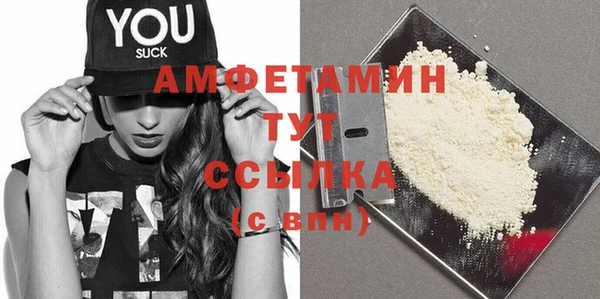 прущий лед Бородино