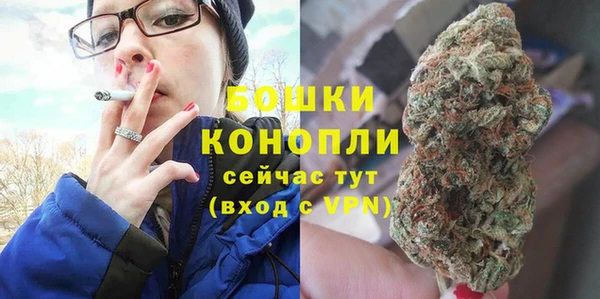 Альфа ПВП Верея